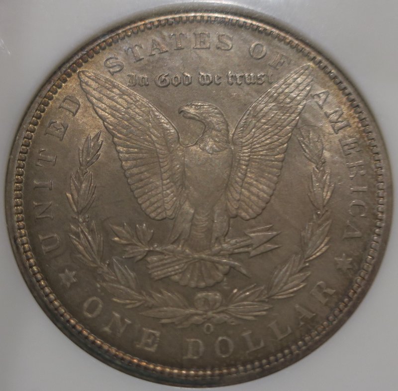 You-Vs-NGC-1899-O-Morgan-Dollar